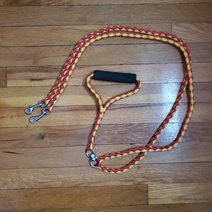 Dual dog leash